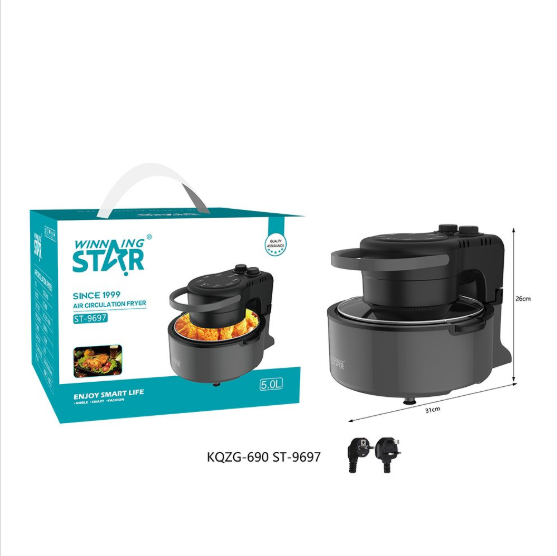 5L Air Fryer Winning Star-9697